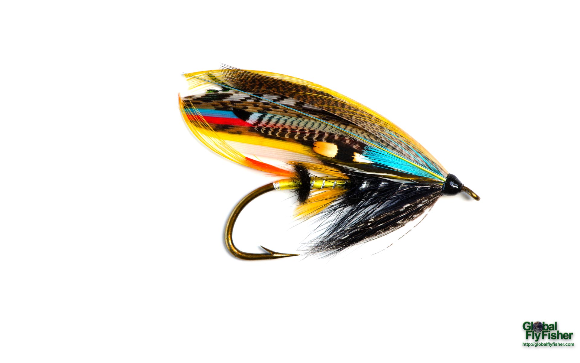 Jock Scott salmon fly | Global FlyFisher - 金宝搏下载网址app